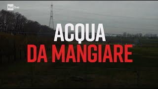 Acqua da mangiare - PresaDiretta 13/02/2023