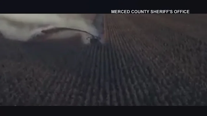 Illegal grow shredded