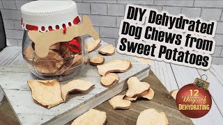DIY Dog Chews from Dehydrated Sweet Potatoes | 12 Days of Dehydrating