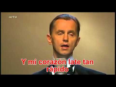 Cheek to Cheek(Max Raabe)Subt. Español.