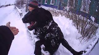 Чистим снег. Собака бесится. В первый раз готовим свою домашнею тушенку. Чистим снег. Собака бесится. В первый раз готовим свою домашнею тушенку.