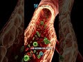 New Saliva Research