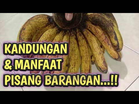 Video: Barangan apakah itu sangley point?