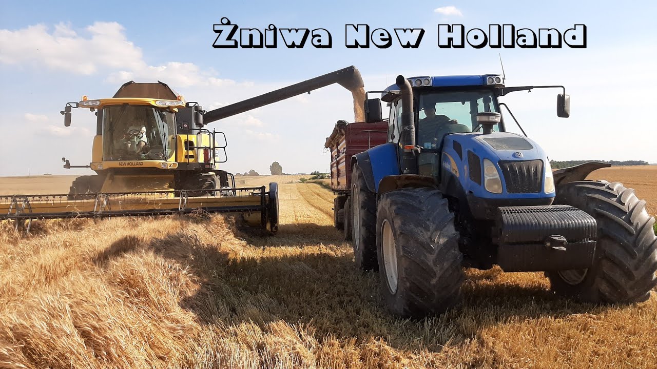 Żniwa 2020- New Holland CX.840 i TVT 195 w akcji - Pszenica Durum