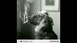 Douglas Da Gds Montagem Funk Remix Slowed Ele T De Pene Pene Penetra