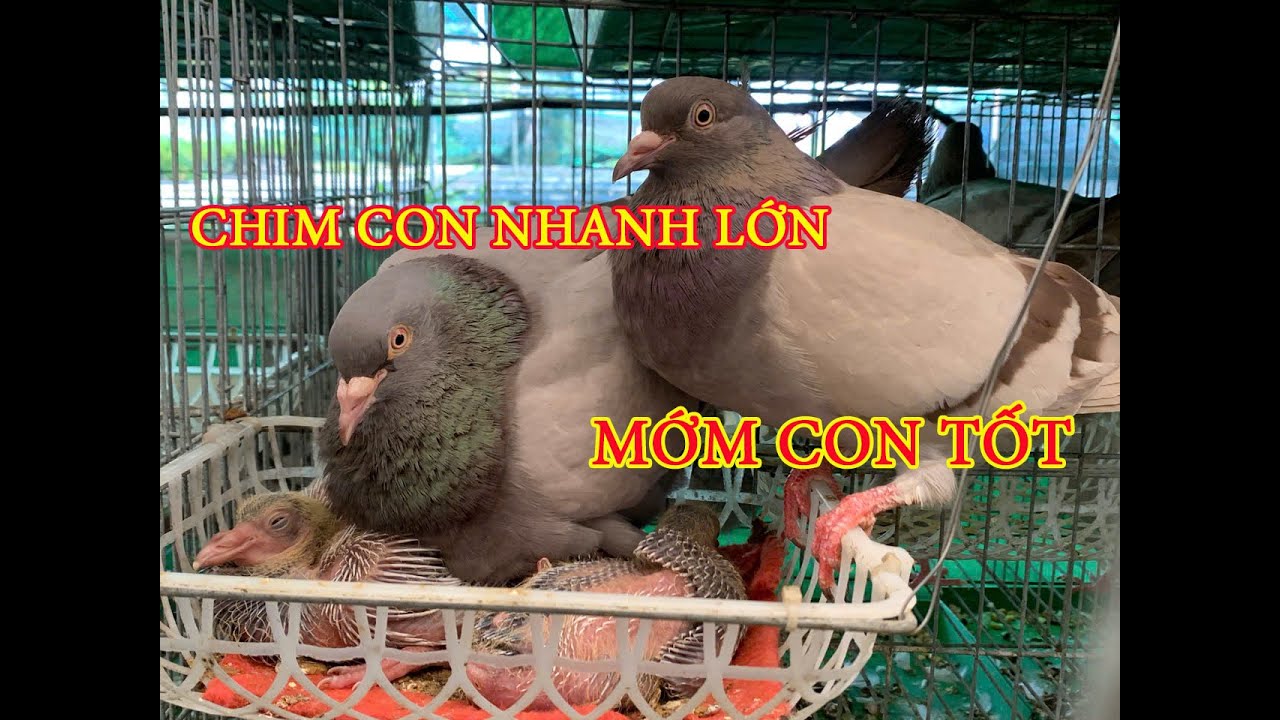 РАСКРЫВАЕМ, КАК ЗАСТАВИТЬ РОДИТЕЛЕЙ-ТИТАНОВ ХОРОШО КОРМИТЬ СВОИХ ДЕТЕЙ | ДЕТИ РАСТУТ БЫСТРО И ЗДО...