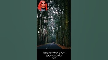 #تلاوة_عراقية 🇮🇶 وليد إبراهيم الفلوجي من سورة المعارج
