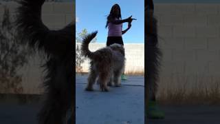 My First Video How To Do The Splits Tutorial