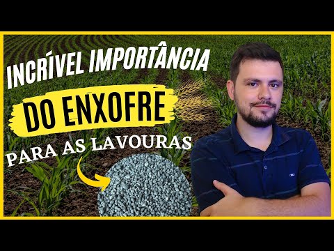 Vídeo: Informações sobre o papel do enxofre - O que o enxofre faz pelas plantas