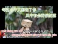 Feng zhong you duo yu zuo de yun - 风中有朵雨做的云 - karaoke