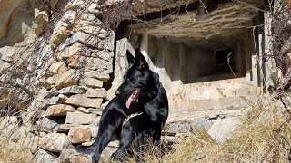 Inside an Abandoned WW2 Machine Gun Bunker - Italy ??