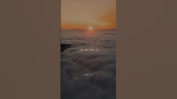 • يَا أَيُّهَا النَّاسُ اتَّقُوا رَبَّكُمْ • سورة لقمان • علي جابر