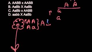 Which Of The Following Is The Testcross? How To Find If The Plant Is Homozygous Or Heterozygous?