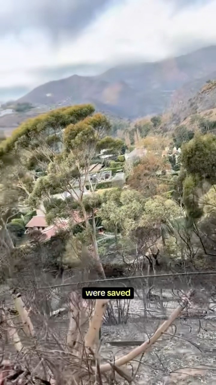 A look at the damage from Malibu’s Franklin Fire #shorts