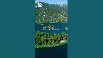 الآية 74 من سورة البقرة بصوت الشيخ سعد الغامدي
