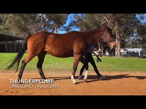 Thunderplump - Oratorio / Naughty. With Agent Assessment.
