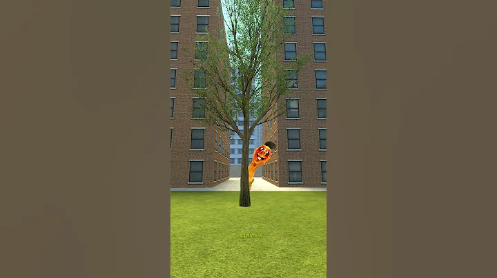 CAN YOU SEE HAMOOD HABIBI.EXE? #shorts