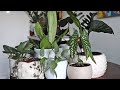 Plant Pots and Planter Tour | Houseplant Styling