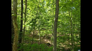 Lots And Land for sale - 717 JEFFERSON DR, Palmyra, VA 22963