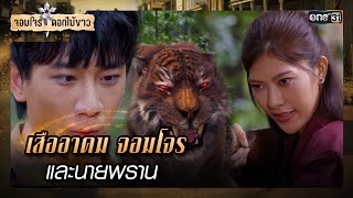 เสืออาคม จอมโจร และนายพราน | รวมซีนเด็ด จอมโจรดอกไม้ขาว Ep.05 | 26 ก.ค. 66 | one31