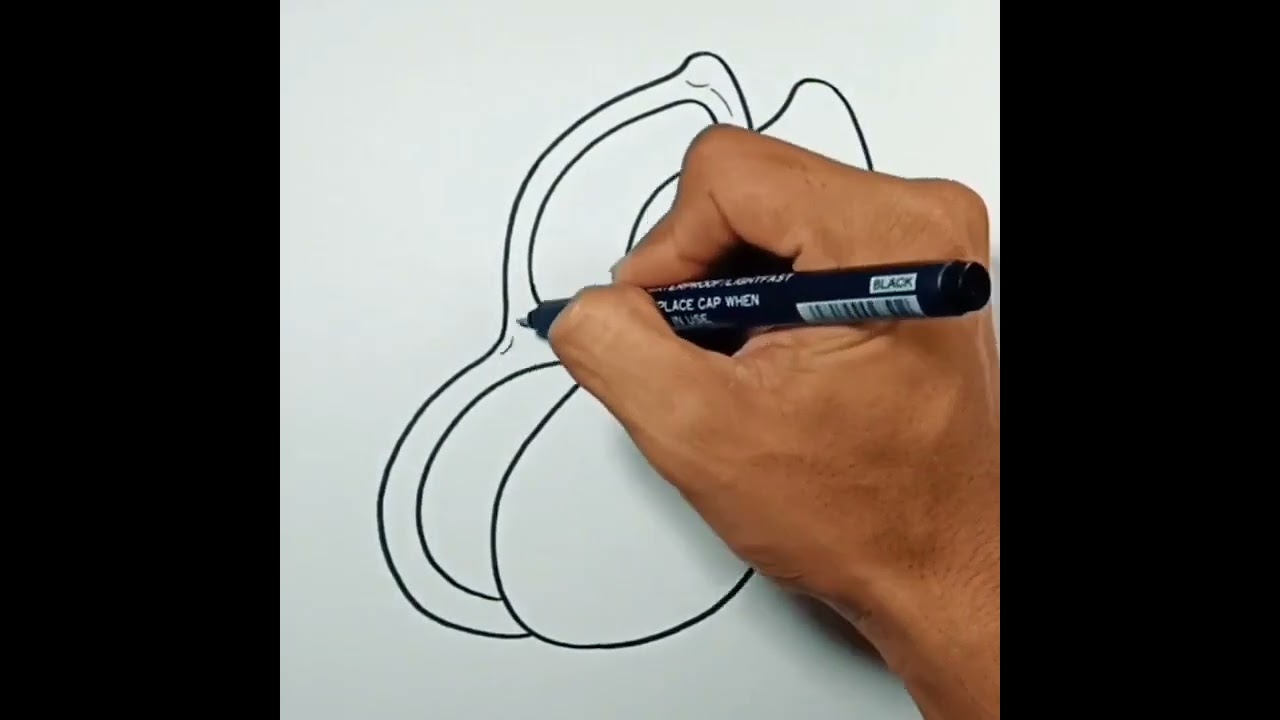 How to draw Peanut 