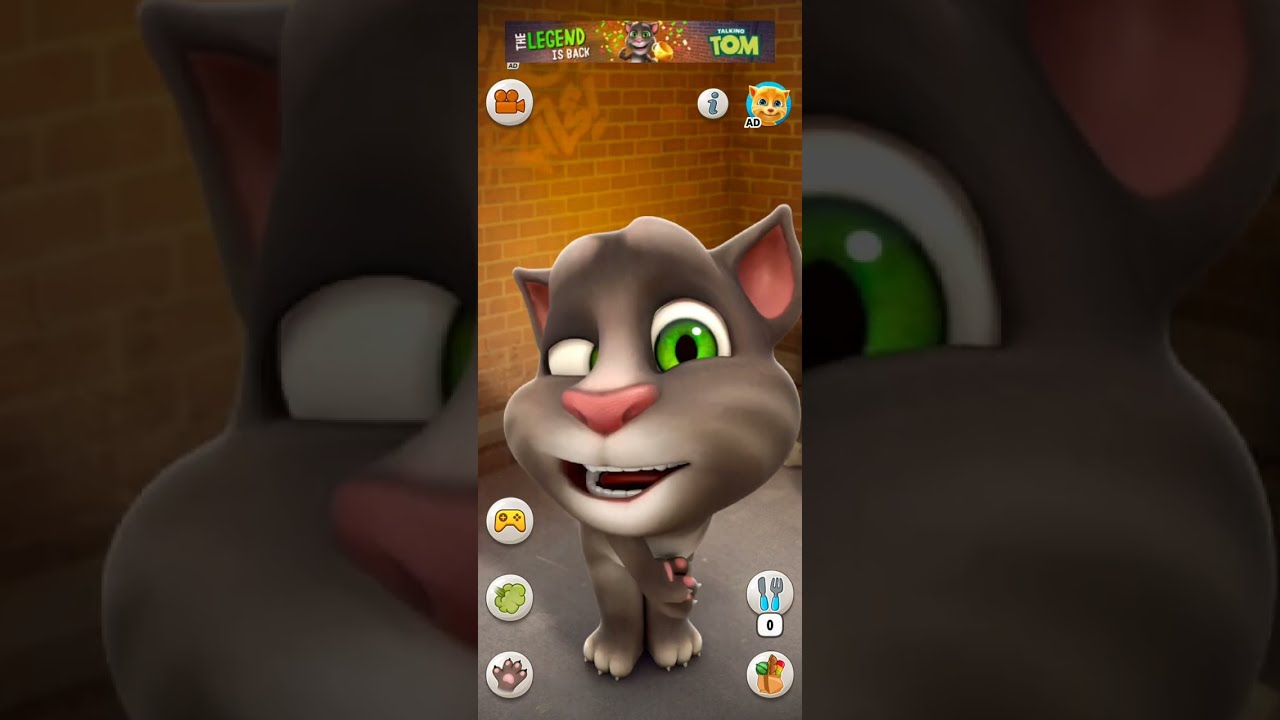 Talking Tom video 