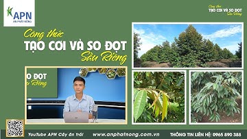 APN - CÔNG THỨC TẠO CƠI VÀ SO ĐỌT SẦU RIÊNG | XỬ LÝ TÌNH HUỐNG ĐỌT RA LỌT XỌT