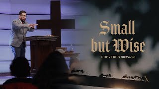 Small but wise | Proverbs 30:24-28 | Ps. Henry Cruz The Sayings Of The Wise A Message From Proverbs 30