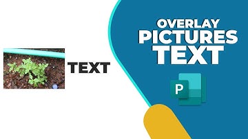 How to overlay pictures and text in Publisher