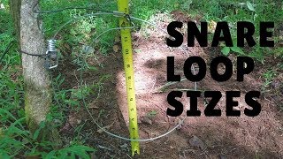 Snaring -  What Loop Size and Height ?