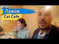 Львовское кошачье кафе "Cat Cafe" Львов глазами туриста