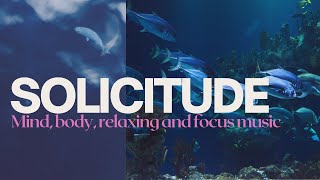 Solicitude Mind Body Relaxing Focus  For  Meditation And Stress Relief