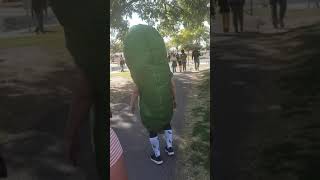 Katherine&#39;s in a pickle