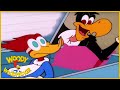 Woody Woodpecker Show | Hooray for Holly-Woody | Full Episode | Cartoons For Children