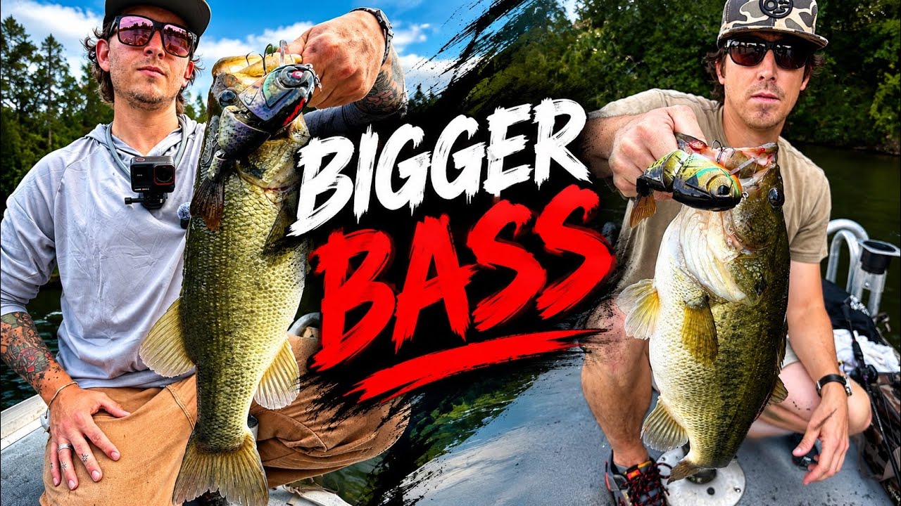 We Caught Some HOGS… and I Lost a EXPENSIVE Lure | Bass Fishing
