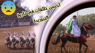 #تبوريدة #الخيل أحسن قرصاة التبوريدة  2019 الماااااااااااااصة 