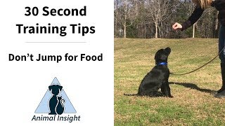 Don't Jump for Food: 30 Second Dog Training Tips by Animal Insight 227 views 5 years ago 32 seconds