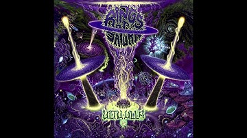 Rings Of Saturn - The Macrocosm