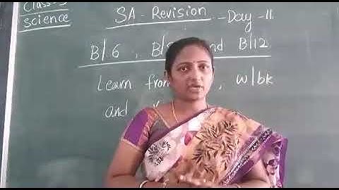 Date 19-03-2021 Class 3 Subject Science Revision