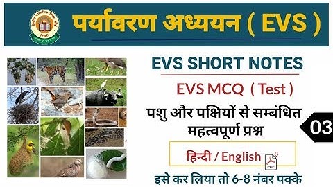 Target CTET-2020 | Environmental Studies MCQ (EVS) by DK Gupta | Class- 03 | Test
