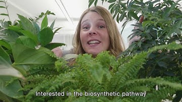 2019 Plant and Animal Sciences SMRT Grant Program (Subtitles)