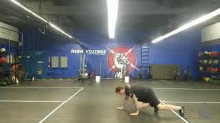 Quadruped Crawl