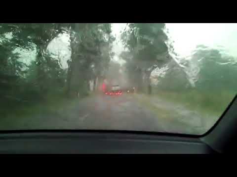 rumble video upload Heavy rain and wind causes trees to fall on the road
