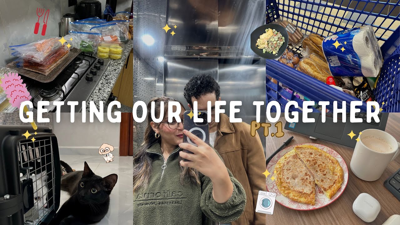 Getting Our Life Together Pt.1 | Groceries 🥑, Laundry 👚, Cats 💉 قاديت معاكم التقدية