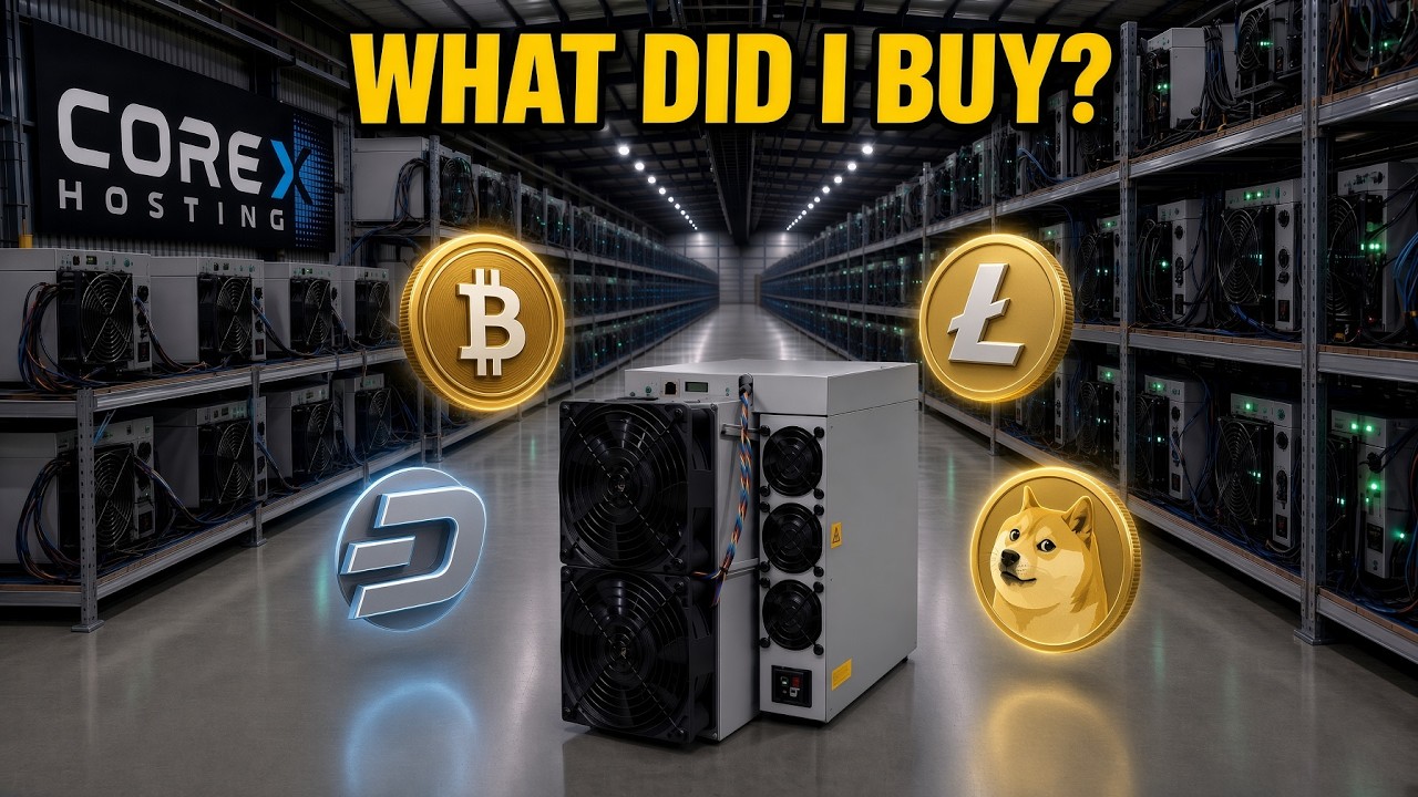 I bought a bunch of ASIC Miners in the BEAR Market.