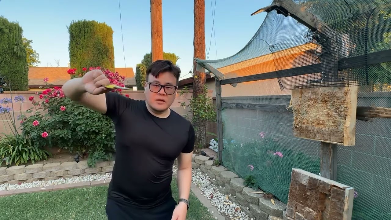 No-Spin Throwing [Intermediate Quick Guide]