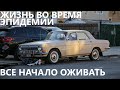 Жизнь во время эпидемии: Все начало оживать.