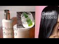 SABILA/ALOE VERA Y AZUCAR Un Champú Bomba para un CABELLO/ PELO  HERMOSO Y CREZCA🌵