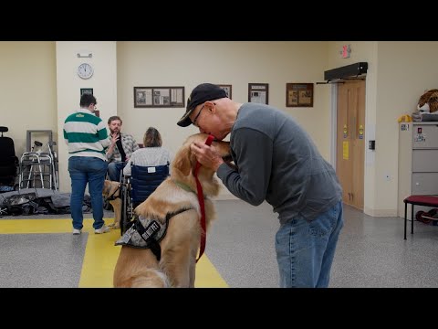 Wideo: Schronienie Spotlight: Zwierzęta bezdomnych