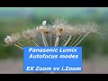 Panasonic lumix fz1000 autofocus and i zoom explained